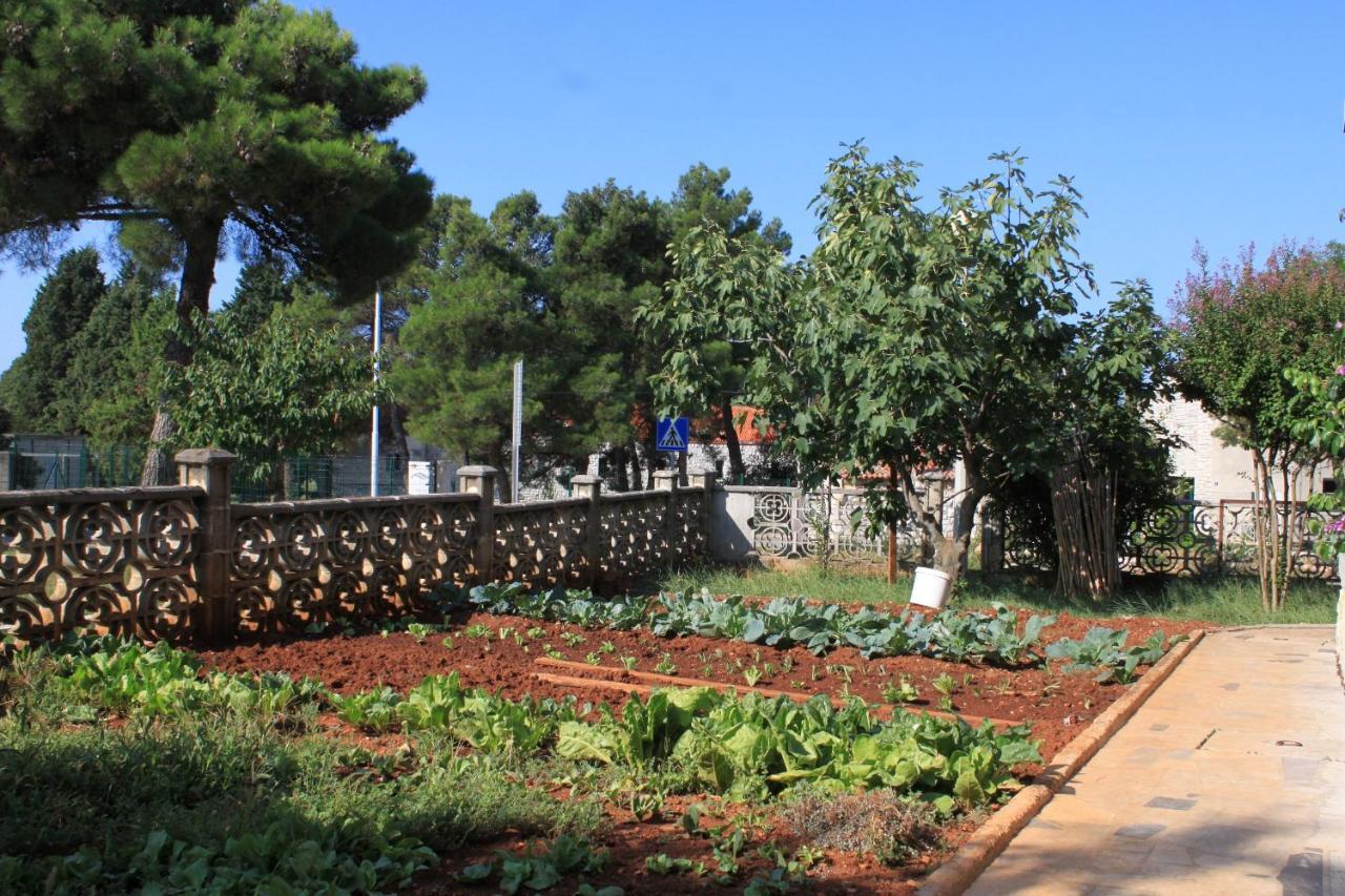Apartments With A Parking Space Umag - 7066 ภายนอก รูปภาพ
